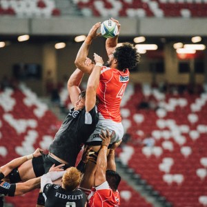 开云网页版登录入口-荷兰马术协会与英国马术协会签署合作协议，共同举办国际马术赛事。